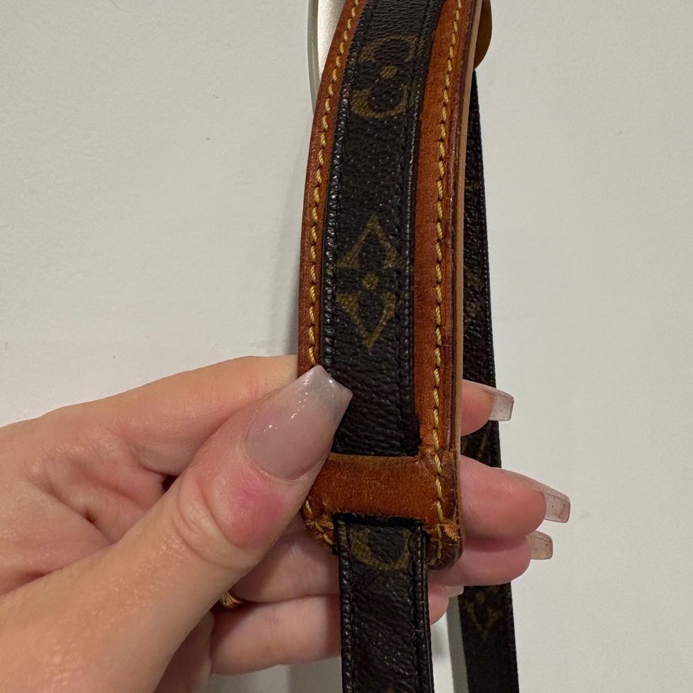 Louis Vuitton Amazon Crossbody Bag - Picture 15 of 16